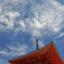 高野山・秋