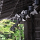 高野山点描