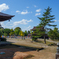 瑞泉寺（井波）