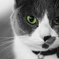 Green eyes