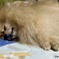 Wonderful moment ......幸せな眠り