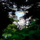 夏の江ノ島　その４