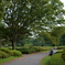 公園でボンヤリ過ごすのも悪くない