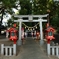 夏詣の参道