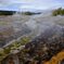 Yellow stone national park