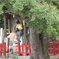 大阪城公園周辺