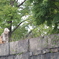 大阪城公園周辺