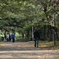 大阪城公園周辺
