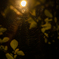 万博の夜　喧騒のなかの静寂