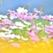 Cosmos