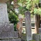 灯籠の陰から
