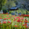 2025-09-27_瑠璃光山 常楽寺(録事尊)-3