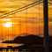 夕陽の橋