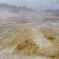 Yellow stone national park