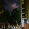 擬似満月の夜