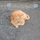 いい夢見てる？
