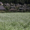 美山　秋の訪れ