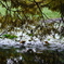 Snapshot_20250923-4