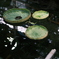 Snapshot_20250923-5