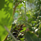 Snapshot_20250909-7