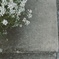 午後の帰り道