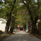 通り道