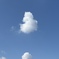 ぽこっと雲