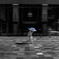 Colourful Black and White_07
