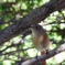 ようこそ...野鳥食堂へ♪