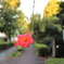 道端に咲く花