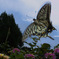 093A1652-21mm-F14-250928-Luminar Neo_. (