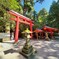 箱根神社な日