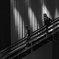 Colourful Black and White_08