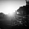 2025-08-27_0521