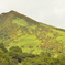 色付き始めた山