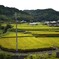 静かな里の秋　①。。。！