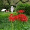 公園で