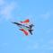 岐阜基地機動飛行訓練。記念塗装機。