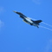 岐阜基地機動飛行訓練。
