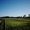夏井地区　R0340003