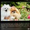 わたしのMacBook