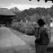 茂林寺