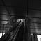 Colourful Black and White_09