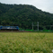 2025/09/10　9866　EF210-167