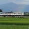 P1970425　残虹
