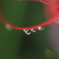水滴②