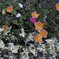 _A7C4411_DxO
