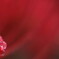 Drops