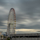 RINKU Sunset_20251001