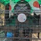 月見里公園SL